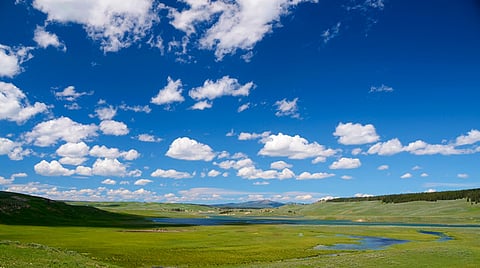 Este 7 de septiembre se conmemora por primera vez este día a nivel mundial: Semaccdet (Foto: Pixabay)