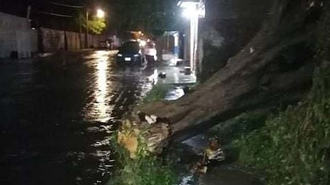 Protección Civil estatal no tiene reporte de afectaciones severas (Foto: cortesía)