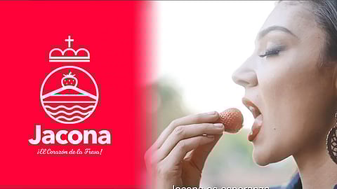 Jacona presentó una imagen fresca donde resalta uno de sus principales cultivos, la fresa. (Foto: Especial)