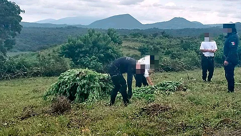 El aseguramiento se llevó a cabo en la comunidad de Aracurio (Foto Cortesía)