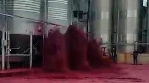 50 mil litros de vino tinto se desperdician tras reventarse depósito