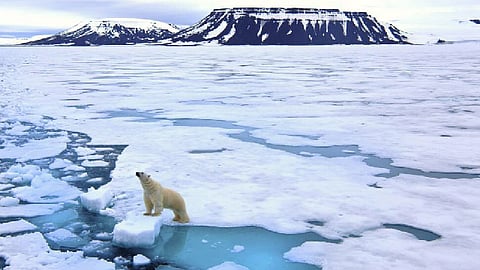 Hielo marino Ártico registra récord mínimo debido a calentamiento global