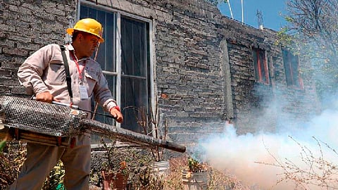 Previo a la fumigación, vecinos deben hacer limpieza de sus hogares (Foto: SSM)