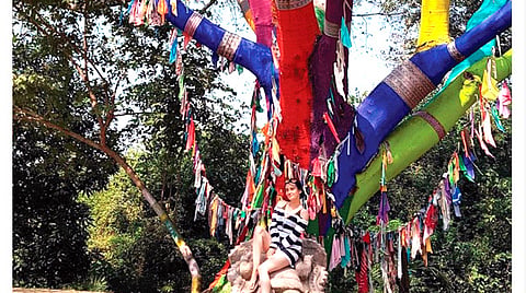 El árbol cerca de la población Las Peñas y de El Bejuco (Foto Twitter: @Michoacan)