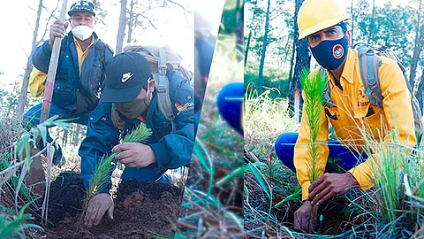 En total de realizaron 35 jornadas de reforestación y la última de ellas se llevó a cabo en una zona del cerro de “La Cruz” (Foto Cortesía)
