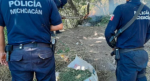 Se realizó la incineración del plantío y se procedió a incautar la hierba seca, para ser puesta a disposición de la autoridad correspondiente (Foto Cortesía)
