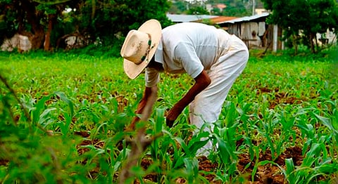 El objetivo es generar acciones que permitan consolidar una transformación en la zona rural del municipio (Foto Archivo)