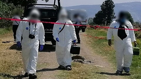 Fue hallado a la orilla de una brecha de terracería (Foto: Red 113)