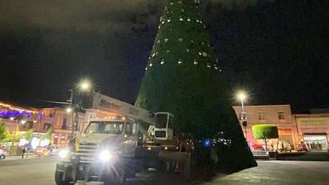 El año pasado la estructura del árbol registró daños debido a las fuertes rachas de viento que se registraron en el mes decembrino (Foto: Cynthia Arroyo)