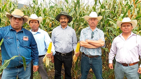 Resultados en más de 40 cultivos, consolidan y ratifican la confianza en las técnicas agroecológicas impulsadas por el Gobierno de Michoacán mediante la Sedrua (Foto Cortesía)