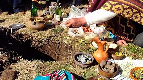 Recalcaron que estas plantas ancestrales son una herramienta de autoconocimiento para llegar a la raíz inconsciente del problema (Foto: ancestrales.info)