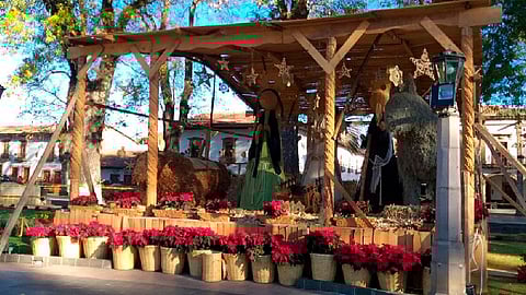 El Nacimiento Monumental está conformado por más de 60 piezas artesanales de entre 3 y 3.5 metros (Foto: Ireri Casillas)