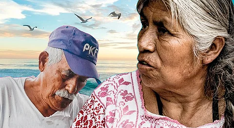 Coespo concluye el 2020 con dos publicaciones sobre adultos mayores y temas prioritarios para Michoacán (Foto Especial)