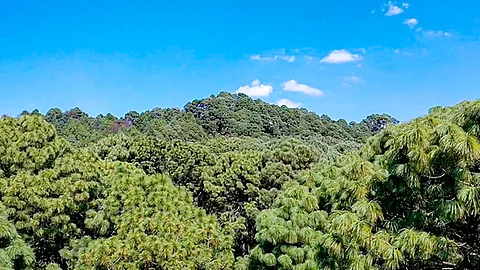 Esta categoría se caracteriza por el interés de los poseedores de los predios por la conservación de los recursos naturales: Ricardo Luna (Foto Cortesía)