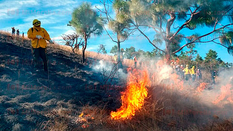 En Morelia: tres incendios forestales sólo en diciembre