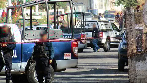 El hallazgo se dio en Zamora (Foto: RED 113)
