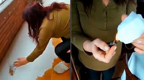 El video se hizo viral (Crédito: Twitter @GobernoAlem)