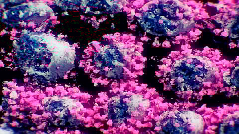 Los colores sólo se utilizaron para representar mejor la forma ya que al ser un virus más pequeño que la longitud de onda de la luz visible
(Foto: Nanographics)