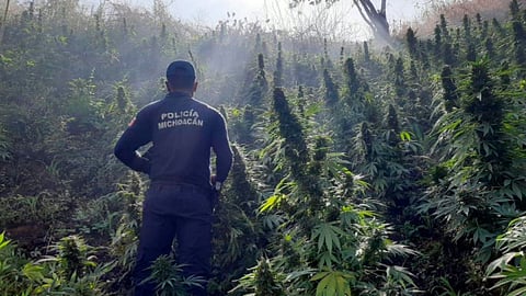 En lugar también fue asegurada una motocicleta (Foto: Cortesía)