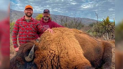 Desmienten fotografías de caza de bisontes en Coahuila