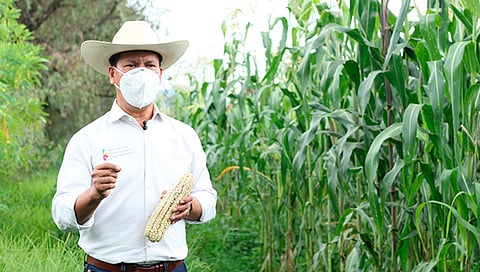 Se espera incrementar la producción de huertos familiares bajo los esquemas y técnicas agroecológicas (Foto Cortesía)