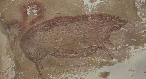 Se halló en la isla de Célebes, Indonesia (Foto: Universidad de Griffith)