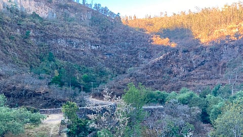 La zona natural es visitada diariamente por corredores y ciclistas (Foto: cortesía)