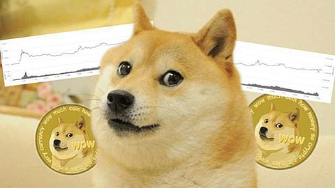 La moneda esta inspirada en Doge, un shiba inu que se volvió meme en 2013 (Foto: reddit.com)