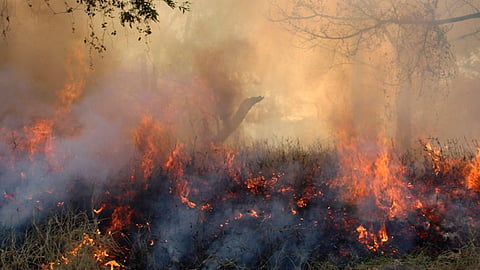 Pronostican temporada crítica de incendios en México este año