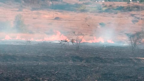 En las inmediaciones de Altozano, luego del combate de las llamas, encontraron trazos preliminares simulando calles en el sitio (Foto: archivo)