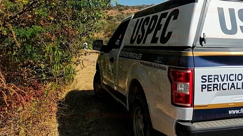 El hallazgo lo realizaron unos habitantes de la zona (Foto: RED 113)