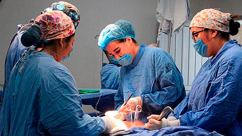 No se han dejado de atender las urgencias nacionales ni las asignaciones prioritarias, informó Erika Rivera Durón, jefa del Área de Donación (Foto: imss.gob.mx)