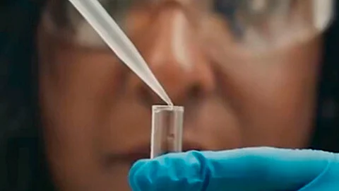 Hasta el momento las variantes no han sido graves (Foto: ilustrativa/pfizer.com)