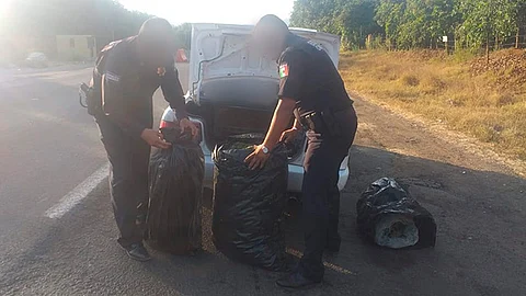 Detienen a 2 mujeres que viajaban con 32 kilos de marihuana, en Uruapan