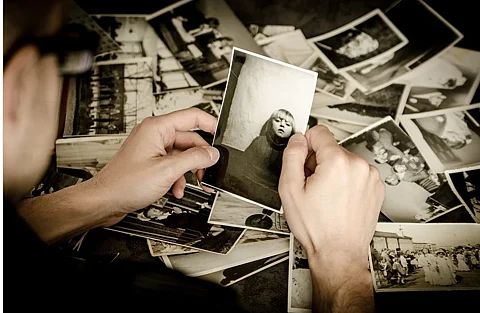 myheritage es más allá de animar fotos, es para armar un ábrol genealógico (Foto: pixabay)