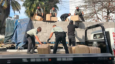 El hallazgo se dio por la Guardia Nacional en Sinaloa (Foto: Cortesía)