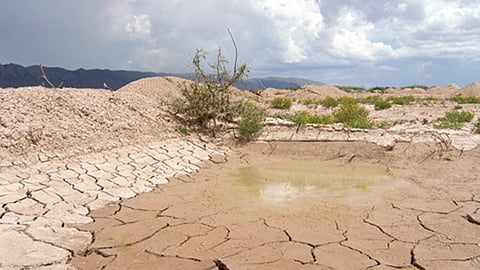 Los cambios climáticos: una realidad con múltiples consecuencias