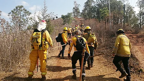 Brigadistas previenen incendios forestales en Cerro Blanco de Pátzcuaro