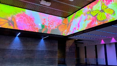 Los recorridos se realizan bajo el estricto apego a las medidas sanitarias (Foto: MiMorelia.com)