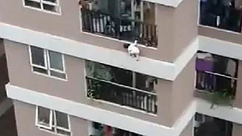 la niña trepó por los barrotes del balcón donde quedó colgada por varios segundos (Foto: captura Tw/ @SbastienMlires1)