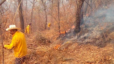 No hay saldo del área afectada (Foto: cortesía)