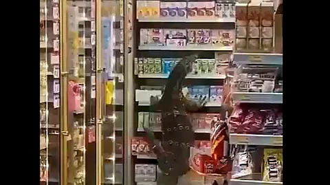 "Godzilla es de verdad", escribió un usuario de las redes sociales (Foto Twitter:@danajiru)