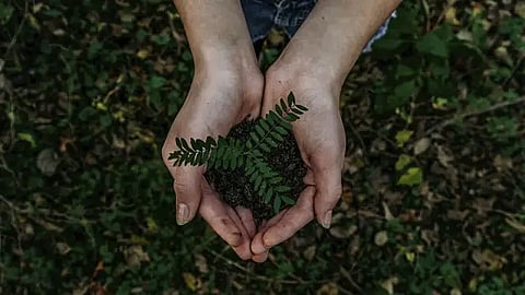 El cambio climático está relacionado con la acción directa de la humanidad (Foto: Pixabay.com)
