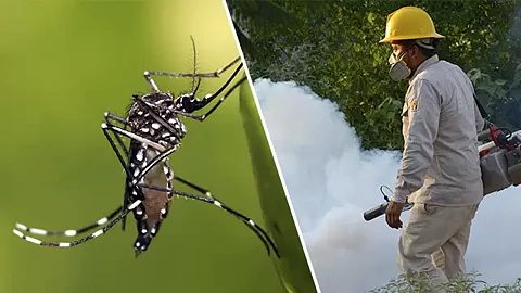 Mantener patios limpios ayuda a prevenir el dengue: SSM