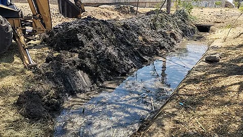 Estas acciones fueron encabezadas por personal de Residuos Sólidos, Parques y Jardines y OOAPAS (Foto Cortesía)