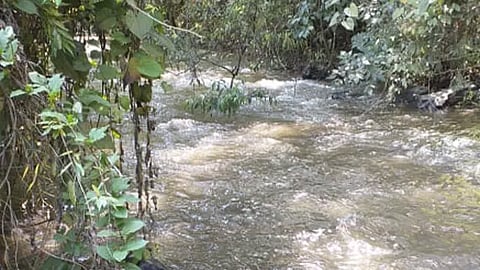Socorristas realizan un operativo de búsqueda (Foto: RED-113)