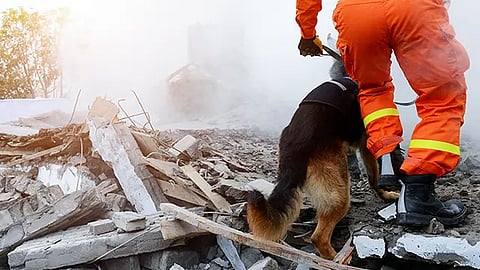 El simulacro se adaptará a la pandemia de Covid-19 (Foto: Cortesía)