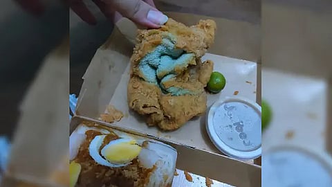 Se dio cuenta que era un pedazo de tela y no una pieza de pollo crujiente (Foto TW: @matiass)