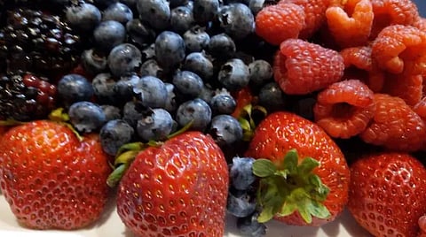 Rubén Medina Niño aseguró que es importante tener participación en este evento que se desarrollará en Guadalajara (Foto: Captura de pantalla)