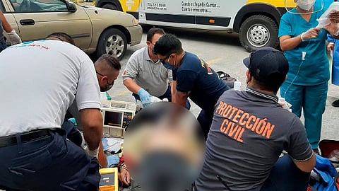 (Foto: Molinero Vial